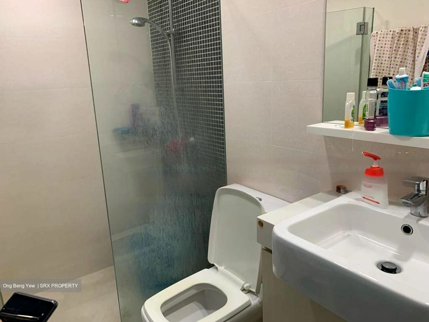 Thomson Grove (D26), Condominium #500046191